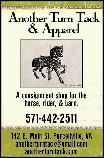 Brittany Salatino - Graphic Designer for the Purcellville Gazette